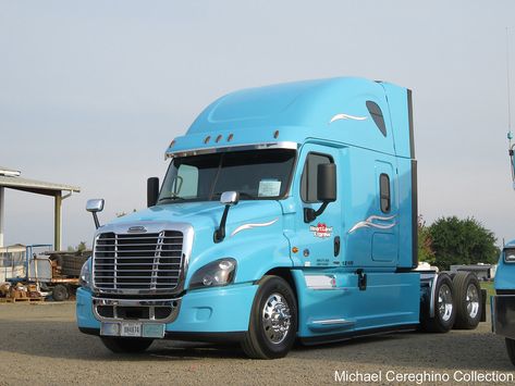 Freightliner Cascadia, Trucking Companies, Semi Trucks, Big Trucks, Heartland, On Display, Evolution, Trailer, Trucks