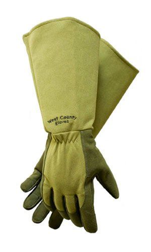 Safety Works 054M/M West County Rose Gauntlet Glove, Medium, Moss >>> To view further for this item, visit the image link. (This is an affiliate link) Clearing Brush, Gloves Aesthetic, Gauntlet Gloves, Garden Activities, Stainless Steel Cleaner, Moss Garden, Learn To Swim, West Chester, Gardening Outfit