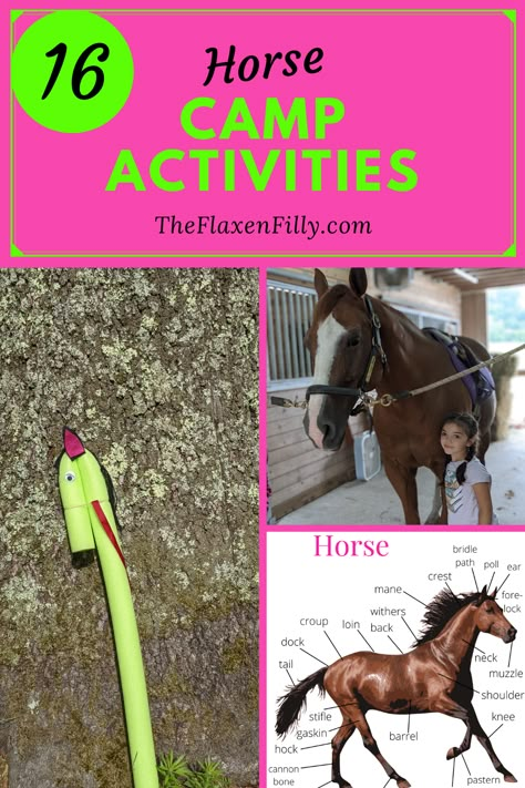 Farm Camp Ideas, Horse Craft Ideas, Horse Camp Activities Ideas, Pony Camp Ideas, Horse Activities, Horse Camp Ideas, Pony Club Activities, Horse Camp Games, Horse Games For Kids