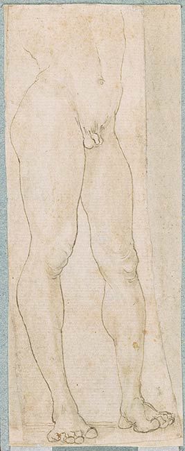 Maso Finiguerra | Legs and Lower Torso of a Male Nude | Drawings Online | The Morgan Library & Museum Male Torso Reference, Courtauld Gallery, Male Torso, Morgan Library, Bones And Muscles, The Morgan, Life Drawing, In The Flesh, Young Artist