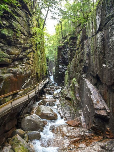 The Flume Gorge – Franconia Notch State Park - Steph Purk Flume Gorge New Hampshire, Franconia New Hampshire, Flume Gorge, Franconia Notch, New England Travel, Budget Vacation, Budget Planer, White Mountains, Hit The Road