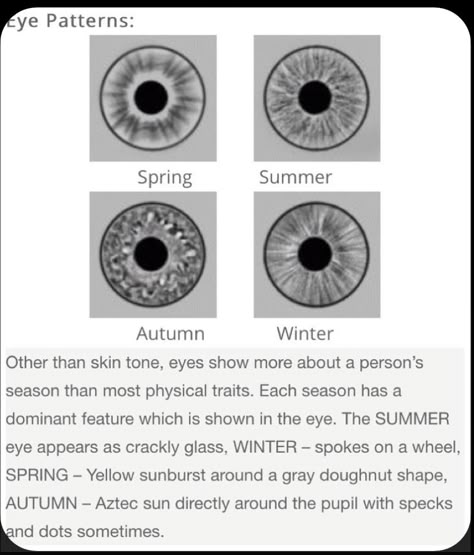 Soft Autumn Undertone, Kibbe Color Season, Eye Season Iridology, Color Seasons Eyes, Fall Outfits For Cool Skin Tones, Cool Color Wardrobe, Colors That Compliment Brown Eyes, Seasonal Color Analysis Eyes, Best Colors For Green Eyes