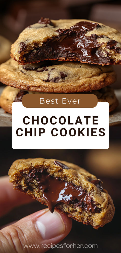 Say hello to the Best Choc Chip Cookies Ever! They’re chewy, chocolatey, and downright irresistible. Perfect for any occasion, these cookies are bound to be your new favorite.

#BestChocolateChipCookies #ChewyCookies #SimpleBaking #CookieRecipes #HomemadeDesserts Chocolate Chip Cookies Variations, Decadent Chocolate Chip Cookies, Cookie Recipes With Chocolate Chips, Recipes For Chocolate Chip Cookies, Chocolate Chocolate Chip Cookies Recipe, The Best Chewy Chocolate Chip Cookies, Easy Chocolate Chip Cookies 3 Ingredients, Best Chocolate Chip Cookies Chewy, Chocolate Chips Cookies Recipe