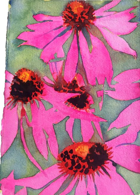 Echinacea — Clare Belbin Echinacea Drawing, Echinacea Painting, Cone Flowers, Curated Home, Abstract Flower Art, Abstract Floral Paintings, Abstract Floral Art, Watercolor Flower Art, Plant Painting