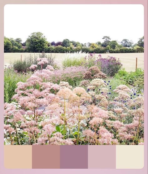 Blush Mauve Color Palette, Lavender Mauve Color Palette, Mauve Wedding Colors Colour Palettes, Tan Wedding Colors, Mauve Color Palette, Romantic Palette, Romantic Bedroom Colors, Mauve Wedding Colors, Lavender Color Palette