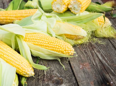 How to Freeze Corn on the Cob Without Blanching Freezing Fresh Corn, Growing Sweet Corn, Freezing Corn, Lahan Pertanian, Healthy Corn, How To Make Corn, Corn Seed, Fruit Seeds, Corn On The Cob