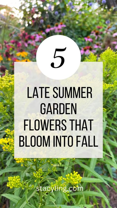 Plant these 5 late summer garden flowers to help bring your garden into fall with extended bloom times and beautiful fall colors. #gardendesign #gardenideas #gardeninspiration #flowerbedinfrontofhouse Late Summer Blooming Flowers, Fall Flowering Plants, Late Summer Garden Planting, Late Summer Planters, Fall Flower Garden Landscaping, Fall Garden Bed Ideas, Fall Flowerbeds Front Yards, Late Summer Decor, Fall Flower Beds In Front Of House