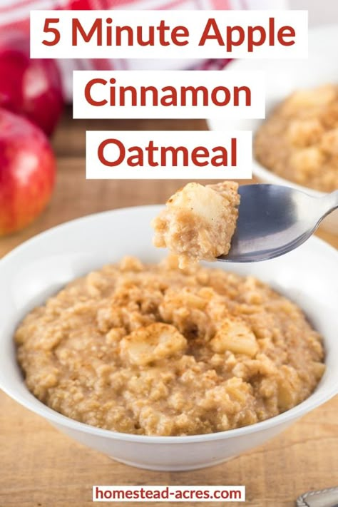 Easy Oatmeal Recipes, Apple Cinnamon Oatmeal, Breakfast Oatmeal Recipes, Apples Cinnamon, Homemade Oatmeal, Apple Oatmeal, Easy Oatmeal, Cinnamon Oatmeal, Oatmeal Recipe