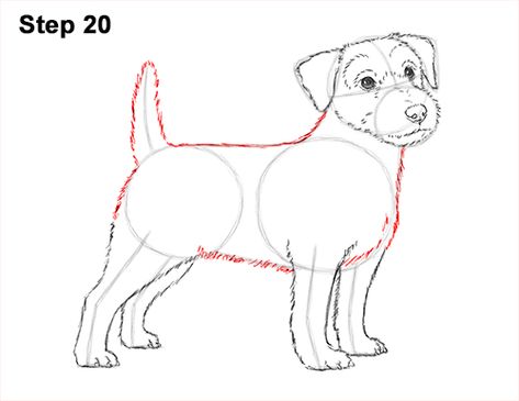 Draw a Jack Russell Terrier Dog 20 Jack Terrier, Draw A Dog, Patterdale Terrier, Jack Russell Dogs, Silhouette Painting, 강아지 그림, Popular Cartoons, Drawing Activities, Jack Russel