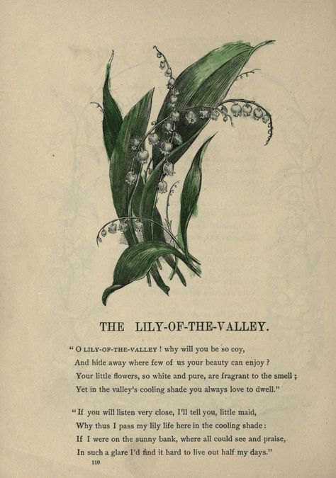 The beautiful book for little children : Shorey, John L.] : Free Download, Borrow, and Streaming : Internet Archive Plants Meaning, Vintage Cottage Home, Books To Write, Nursery Rhymes Poems, Magical Fairies, Old Children's Books, Childrens Poetry, Craft Organizer, Mushroom Plant