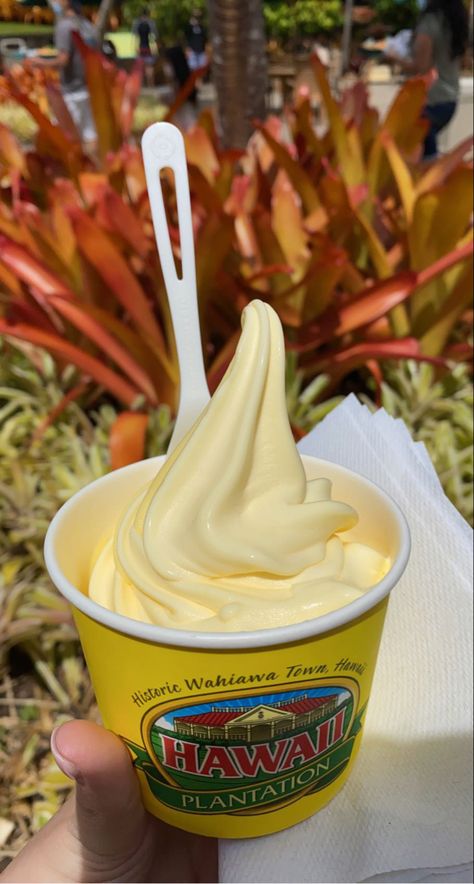 Pineapple Dole Whip, Dole Whip Hawaii, Starbucks Pineapple Dole Whip Drink, Hawaii Aesthetic Food, Hawaii Astethic Food, Disney Dole Whip Aesthetic, Hawaii Ice Cream, Hawaii Snacks, Hawaii Shaved Ice Aesthetic