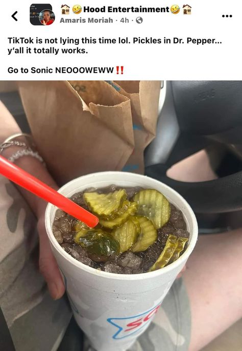 Pickle Combos, Pickles Aesthetic, Sonic Drinks, Food Babe, Delicious Snacks Recipes, Weird Food, Food Goals, Food Humor, Food Obsession