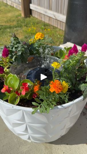 1K views · 310 reactions | Spruce up your outdoor space with this solar-powered water fountain🌷 ⛲️ Comment “LINK” and I’ll send you the link to it on Amazon! | Life With Seany | Mom Lifestyle | Hawken Horse · Free Solar Fountain Ideas, Landscape Meadow, Mom Lifestyle, 1k Views, Solar Powered, Water Fountain, Solar Power, Garden Ideas, Outdoor Space