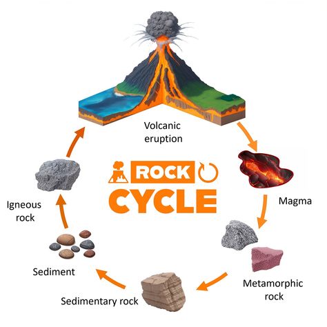 The Rock Cycle The Rock Cycle Projects, 3d Rock Cycle Project, Rock Cycle Diagram, Natural Resources Lesson, Rock Cycle Project, Geology Lessons, Geography Notes, Types Of Rocks, Cycle Drawing