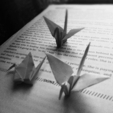 paper crane... made by me DIY Paper Crane Aesthetic, Cranes Aesthetic, Crane Aesthetic, Paper Cranes, Paper Crane, Aesthetic Grunge, Made By Me, Origami, Collage