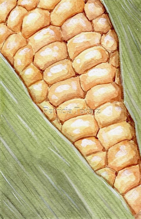 Pizza Fusion, Form Sketches, Corn Watercolor, Corn Drawing, Corn Painting, Indian Corn, Art Teaching, Mexican Street Corn, Watercolor Paintings For Beginners