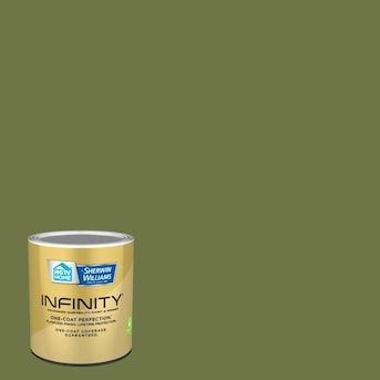 HGTV HOME by Sherwin-Williams Infinity Base C Semi-Gloss Garden Spot Interior Paint (1-quart) in the Interior Paint department at Lowes.com Method Soap, Paint Primer, Container Size, Lowes Home Improvements, Mold And Mildew, Sherwin Williams, Interior Paint, Kitchen And Bath, Stain