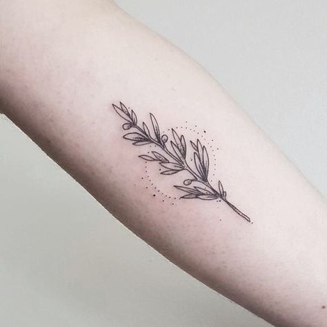 Gods Temple, Tattoo Trees, Tattoo Leaves, Tattoo Bee, Laurel Tattoo, Pine Tattoo, Illustrative Tattoo, Olive Branch Tattoo, Leaves Tattoo