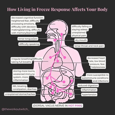 Living with the freeze response can leave you feeling numb and disconnected due to the body's protective mechanism. It affects everything from your emotions to your gut health. The good news? You can overcome it with somatic exercises that release stress, improve your energy, and restore balance. Dorsal Vagal, Freeze Response, Somatic Exercises, Emotionally Numb, Gastric Problem, Feeling Numb, Mental Health Therapy, Vagus Nerve, Healthy Apple