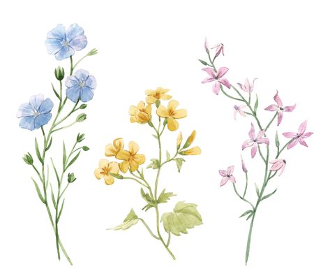 Sketches Aesthetic, Aesthetic Colour, Spring Field, Lost Garden, Easy Flower Painting, Beautiful Flower Drawings, Pantone Colour Palettes, Flower Bunch, Field Flowers