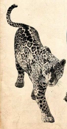 Jaguar Back Tattoo, Black Leopard Tattoo, Black Jaguar Tattoo, Jaguar Tattoo Design, Leopard Tattoo Design, Jaguar Drawing, Leopard Print Tattoo, Leopard Sketch, Hyena Tattoo