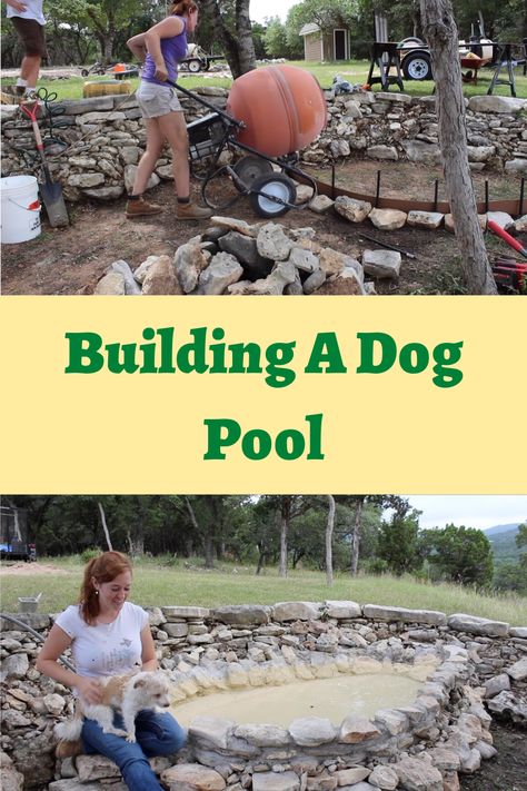 Dog Pools Backyard, Dog Pool Ideas Diy, In Ground Dog Pool, Diy Backyard Dog Pond, Dog Pond Backyard, Shade For Dogs Backyard Diy, Diy Beach Entry Pool, Diy Outdoor Dog Area, Dog Shade Ideas Backyards