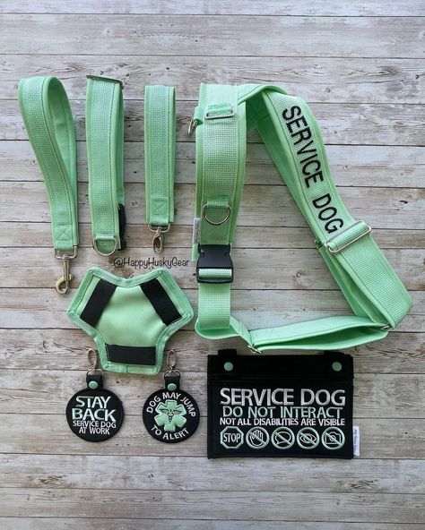 All Posts • Instagram Cai Characters, Luke Dunphy, Service Dog Gear, Service Dog Harness, Happy Husky, Service Dog Patches, Service Dogs Gear, Chest Plate, Service Dog Training