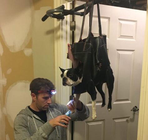 "He saw the idea to hang a dog from a doorway to clip nails...so he bought the purse to be cheaper," said Kendal. "It was his DIY project for the night." #dogdiyprojects Clipping Dog Nails, Cut Dog Nails, Grooming Hacks, How To Cut Nails, About Dogs, Girl Dad, Dog Nails, Dog Hacks, Trim Nails