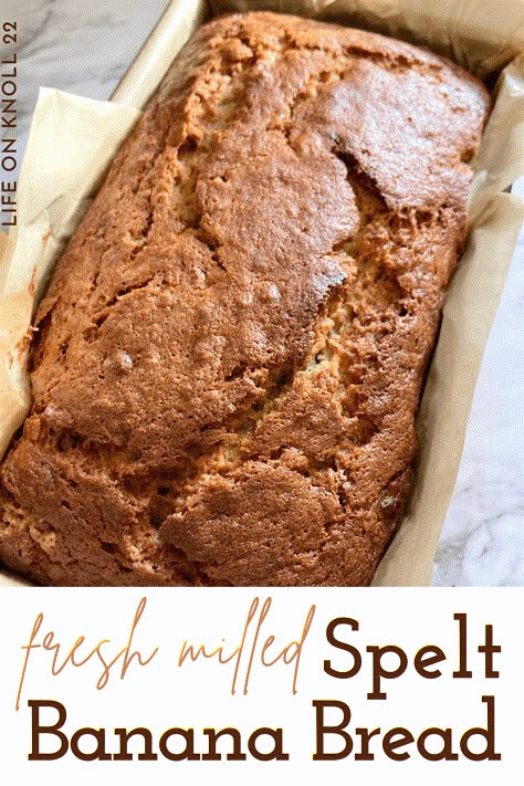 This spelt banana bread recipe uses 100% fresh milled spelt flour to make a delicious moist loaf that is sure to become a family favorite! Banana Bread Fresh Milled Flour, Whole Grain Spelt Recipes, Fresh Milled Flour Banana Bread, Fresh Milled Spelt Recipes, Spelt Flour Banana Bread, Fresh Milled Banana Bread, Spelt Banana Bread, Banana Bread Gf, Spelt Bread Recipe