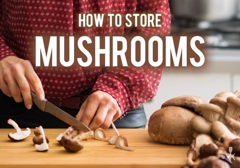 How To Store Mushrooms, Mushroom Storage, Storing Fruit, Shitake Mushroom, Crimini Mushrooms, Stuffed Portabella Mushrooms, Button Mushrooms, Summer Side Dishes, Veggie Tray