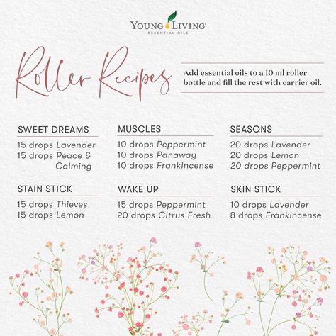 Panaway Essential Oil, Essential Oil Blends Roller, Young Living Oils Recipes, Essential Oil Roller Bottle Recipes, Young Living Recipes, Living Oils Recipes, Roller Blends, Roller Bottle Blends, Essential Oil Diffuser Blends Recipes