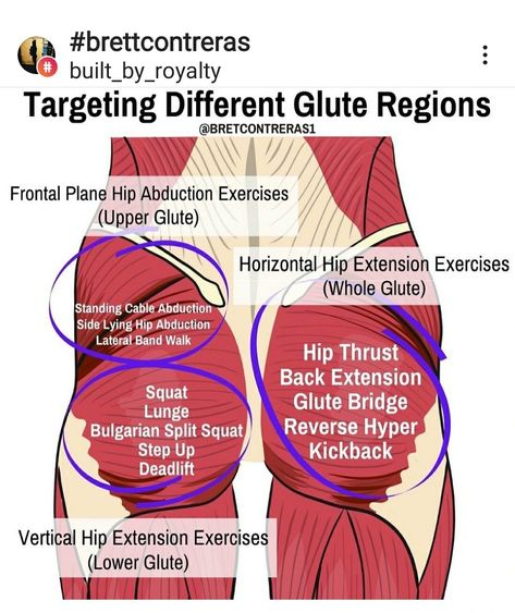 Glute Guy, Extension Exercises, Hip Extension Exercise, Hip Extension, Hip Thrusts, Glute Activation, Summer Body Workouts, Buttocks Workout, Leg And Glute Workout