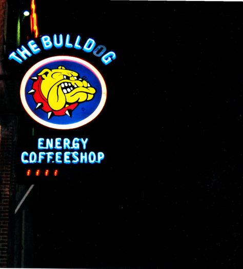 AMSTERDAM THE BULLDOG ENERGY COFFEESHOP BY NIGHT Cavaliers Logo, Cleveland Cavaliers, Cleveland Cavaliers Logo, Sports Team, Sport Team Logos, Team Logo, Coffee Shop, Amsterdam, Bulldog