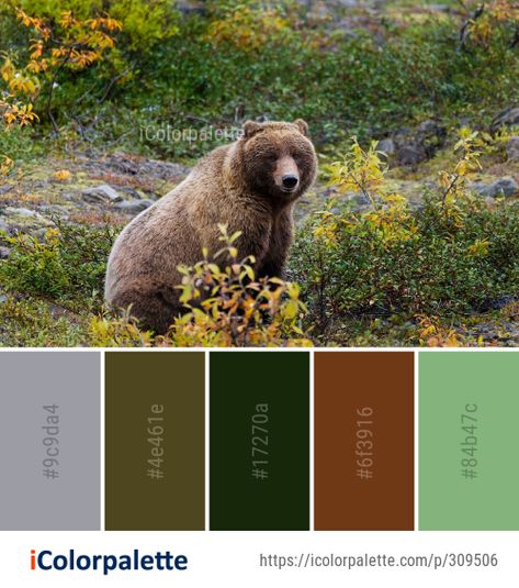 Color Palette Ideas from Grizzly Bear Fauna Mammal Image | iColorpalette Nature Colour Palette, Color Palette Theme, Bear Character, Bear Brown, Color Schemes Colour Palettes, Color Palette Ideas, Nature Color Palette, Palette Ideas, Animals And Nature