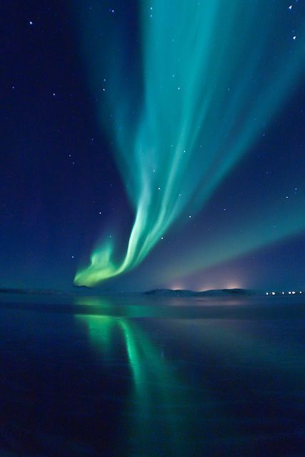 Aurora Borealis over Úlfljótsvatn, via Flickr. Aurora Lights, Lights Wallpaper, Aurora Australis, Acid Art, Northern Lights (aurora Borealis), South Iceland, Aurora Borealis Northern Lights, Northern Light, Wallpaper Animes