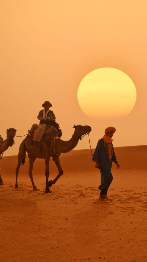 #maroc #desert #vacance #soleil #souk #sable Marrakech Morocco Aesthetic, Morocco Casablanca, Morocco Aesthetic, Quote Travel, Moroccan Aesthetic, Morocco Marrakech, Casablanca Morocco, Desert Travel, Dream Vacations Destinations