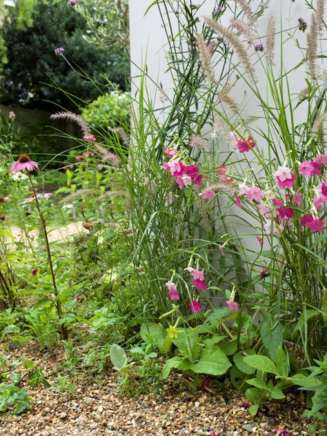 Nicotiana blooms against the house. Garden Sitting Area, Garden Nook, Lawn Care Tips, Gravel Garden, Water Fountains, Front Lawn, Flower Landscape, Backyard Retreat, Corten Steel