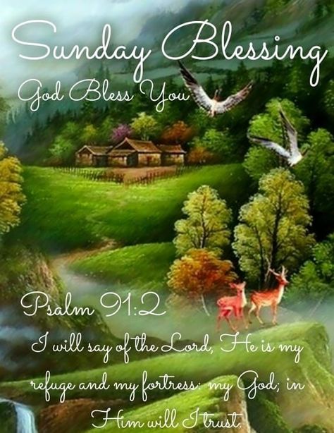 Psalms Sunday Blessing 91:2 Pictures, Photos, and Images for Facebook, Tumblr, Pinterest, and Twitter Thursday Greetings, Sunday Morning Quotes, Happy Sunday Morning, Be Of Good Courage, Sunday Greetings, Good Sunday Morning, Good Thursday, Sunday Blessings, Sunday Images