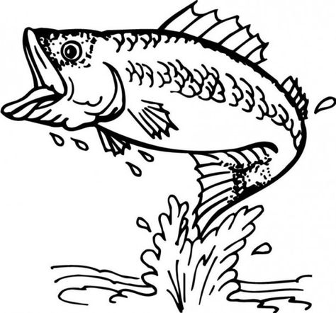 Bass Fish Coloring Pages | Free coloring pages Rainbow Fish Coloring Page, Fish Printables, Fish Outline, Fish Coloring, Fish Clipart, Freehand Machine Embroidery, Fish Coloring Page, Bass Fish, Fish Drawings