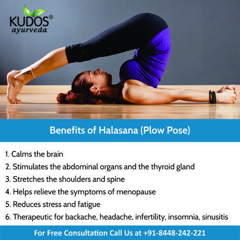 "Plow Pose is an inverted yoga posture that stretches the spine and shoulders while rejuvenating the nervous system. #FitFriday #KudosAyurveda #Yoga #Asana #Halasana #PlowPose #HealthBenefits #YogaForLife #MindFresh #NervousSytem #Meditation #Flexibility #Headache #ReduceStress" Halasana Benefits, Spine Stretches, Yoga Knowledge, Mckenzie Exercises, Plow Pose, Yoga Posses, Mind Peace, Stretch Exercise, Army Wallpapers