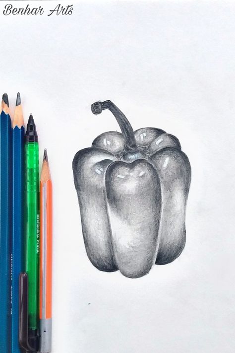 Vegetable Pencil Drawing, Capsicum Drawing, Vegetable Drawings, Human Sketches, Vegetable Drawing, Composition Drawing, Human Sketch, Shading Drawing, Art Final