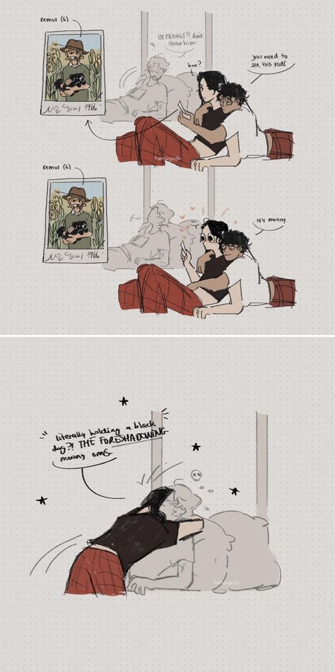 Wolfstar With Harry, Mauraders Fanart The Marauders, Marauders Comics, Wolf Star Fanart, The Marauders Fan Art, Wolf Star, Remus And Sirius, Marauders Fan Art, Oki Doki