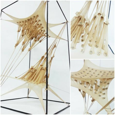 Conceptual Model Architecture, Model Architecture, Conceptual Architecture, Arch Model, Concept Diagram, Architecture Model Making, Architecture Concept Drawings, Kinetic Sculpture, Design Textile