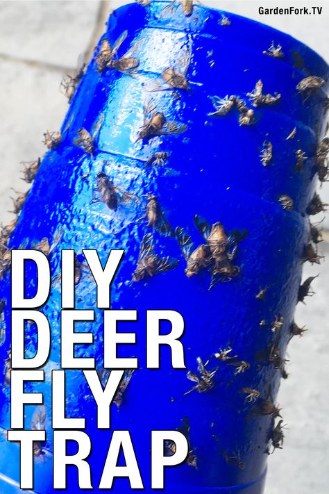 Use this blue cup deer fly trap to get rid of deer flies. It looks weird but works really well. How to video, full instructions, and supply info in this post. #DIY #gardening Deer Fly Repellent, Horse Fly Trap, How To Repel Flies, Horsefly Trap, Fly Repellant Diy, Flies Trap Diy, Mosquitoes Repellent, Deer Flies, Repel Flies