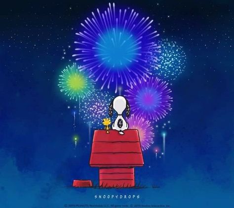 Snoopy Fireworks, Childhood Cartoon Characters, Snoopy New Year, Charly Brown, 4th Of July Wallpaper, Firework Show, Brown Board, Fireworks Wallpaper, 4th Of July Images