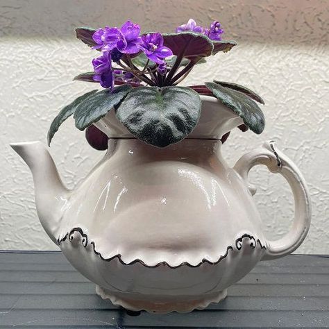 14 Best DIY Pots For African Violets | Balcony Garden Web Diy African Violet Pots Self Watering, Potting Ideas, Small House Garden, Companion Planting Vegetables, African Violet Pots, Herb Containers, Container Vegetables, Herb Garden Design, Self Watering Pots