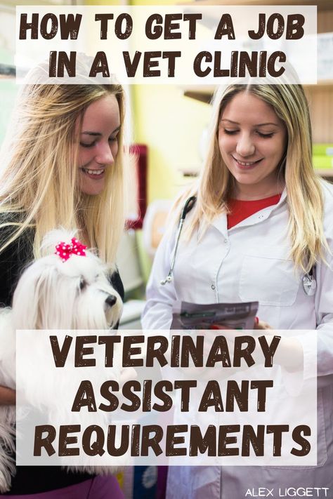 Vet Assistant Scrubs, Vet School Humor, Vet Tech Humor, Vet Tech School, Vet Tech Student, Vet Technician, Veterinary Assistant, Vet Medicine, Vet Assistant