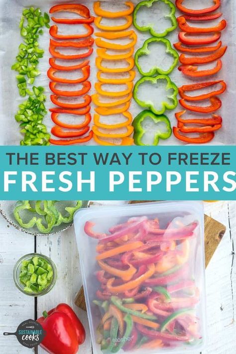 Learn all the tips and tricks for freezing peppers to save a ton of time and money. Learning how to freeze peppers (diced, sliced, rings, and whole) is a great way to preserve this delicious staple of so many recipes. A freezer stash of frozen peppers opens the door to amazing and speedy meals. How To Freeze Peppers, Freezing Green Peppers, Freeze Peppers, Freezing Food Guide, Freezing Bell Peppers, Money Learning, Cooking Peppers, Freezing Peppers, Freezing Vegetables