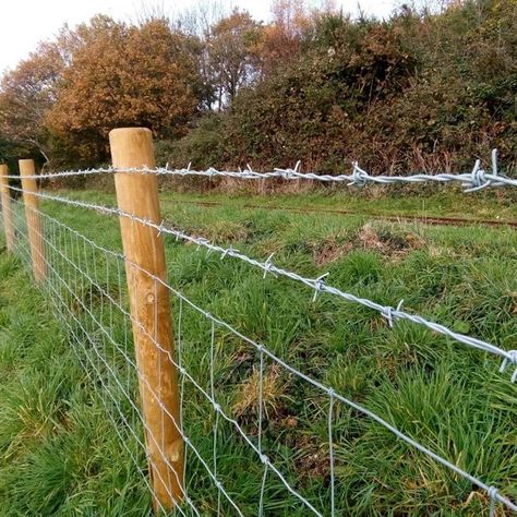 Stone And Wire Fence, Barbed Wire Fence Ideas, Agricultural Fencing, Bird Feeder Garden, Barbed Wire Fence, Welded Wire Fence, Field Fence, Wire Fencing, Barbed Wire Fencing