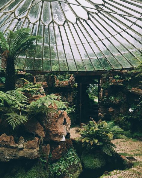 Victorian Greenhouse, Isle Of Bute, Hot House, Victorian Garden, Visit Scotland, Garden Architecture, Clotted Cream, Queenstown, Greenhouses